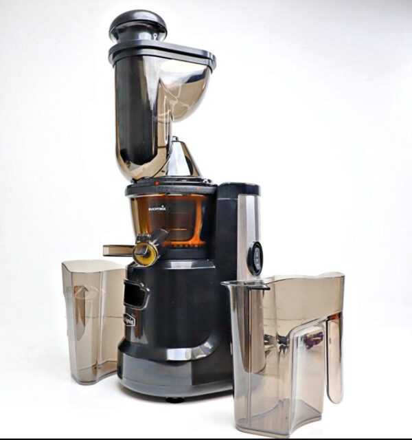 Masticating Cold Pressed Juicer with High Torque Motor