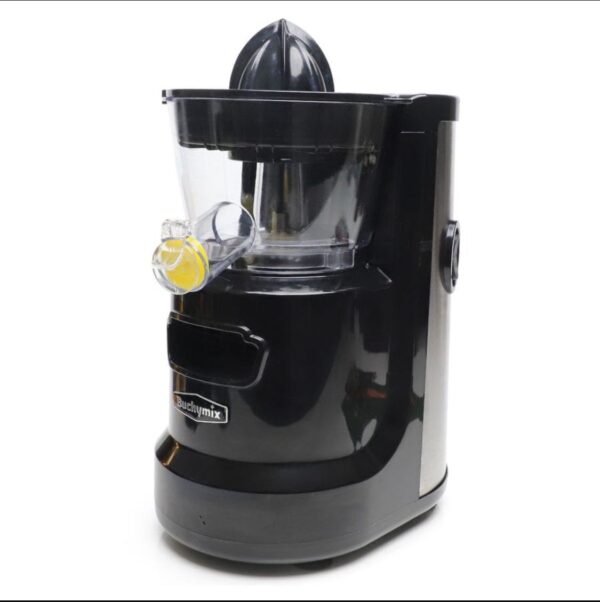 Masticating Cold Pressed Juicer with High Torque Motor - Image 3