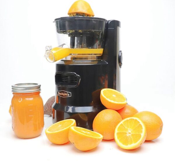 Masticating Cold Pressed Juicer with High Torque Motor - Image 2