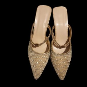 Cinderella Shoe
