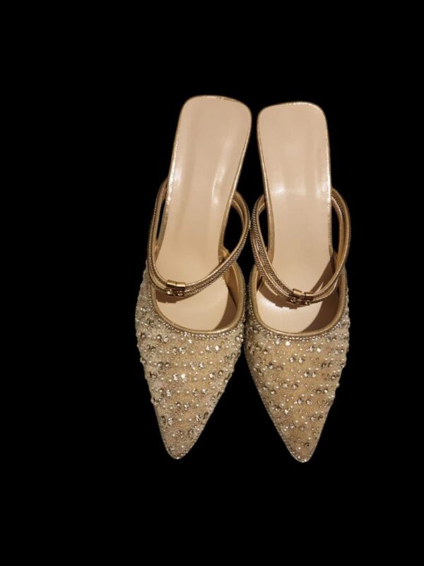 Cinderella Shoe